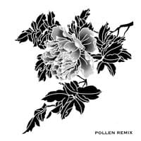 Pollen Remix