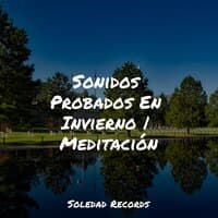 Sonidos Probados En Invierno | Meditación