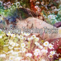 43 Baby Teaching Tracks