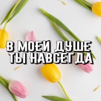 В моей душе ты навсегда