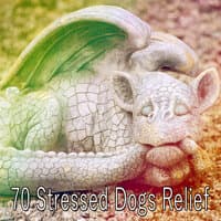 70 Stressed Dogs Relief