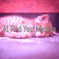 41 Find Your Marbles