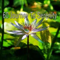 60 Journey to Serenity