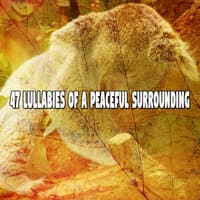 47 Lullabies of a Peaceful Surrounding