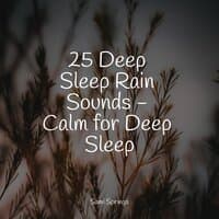 25 Deep Sleep Rain Sounds - Calm for Deep Sleep