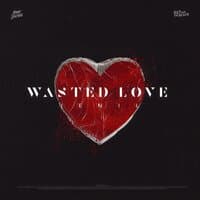 Wasted Love