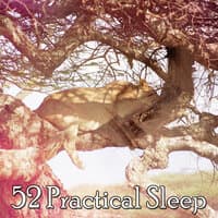 52 Practical Sleep