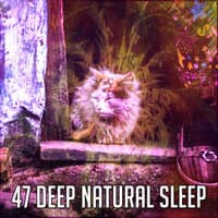 47 Deep Natural Sleep