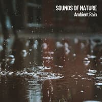 Sounds of Nature: Ambient Rain