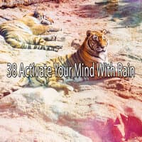 38 Activate Your Mind with Rain