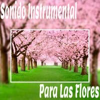 Sonido Instrumental para las Flores