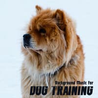 Background Music for Dog Training