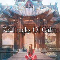 72 Tracks Of Calm