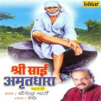 Shree Sai Amritdhara, Vol. 2