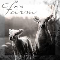 On the Farm - Unique Collection of Animal Sounds Straight from the Countryside Like Horses, Ducks, Hens, Donkeys and More