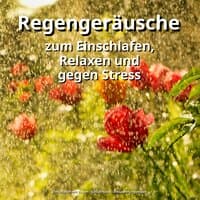 Regengeräusche zum Einschlafen, Relaxen und gegen Stress