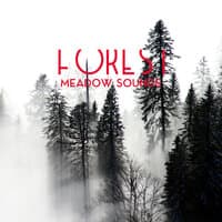 Forest Meadow Sounds – Very Relaxing Natural Melodies for Rest, Study, Meditation and Sleep