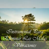 Instrumental Para Eliminar Las Malas Vibraciones