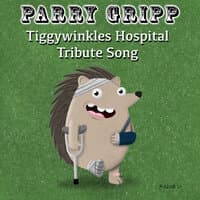 Tiggywinkles Hospital Tribute Song