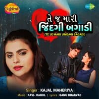 Te Je Mari Jindagi Bagadi - Single