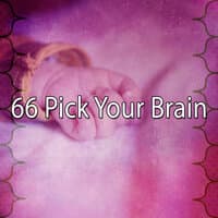 66 Pick Your Brain