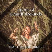 1 Hour of Beautiful Sounds: Heart of the Jungle