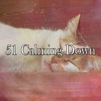 51 Calming Down