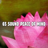 65 Sound Peace of Mind