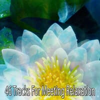 46 Tracks For Meeting Relaxation