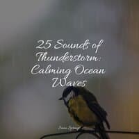 25 Sounds of Thunderstorm: Calming Ocean Waves