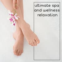 Ultimate Spa and Wellness Relaxation