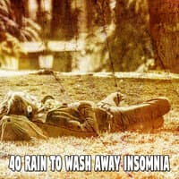 40 Rain to Wash Away Insomnia