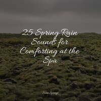 25 Spring Rain Sounds for Comforting at the Spa