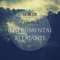 La mejor música instrumental relajante