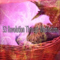 53 Revolution Through Meditation