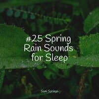 #25 Spring Rain Sounds for Sleep