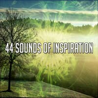 44 Sounds of Inspiration