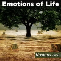 Emotions Of Life