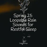 Spring 25 Loopable Rain Sounds for Restful Sleep