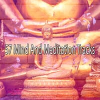 57 Mind and Meditation Tracks