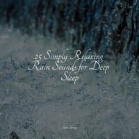 25 Simply Relaxing Rain Sounds for Deep Sleep