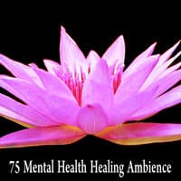 75 Mental Health Healing Ambience