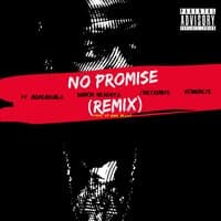 No Promise