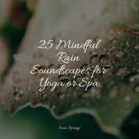 25 Mindful Rain Soundscapes for Yoga or Spa