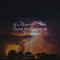 25 Memorable Rain Sounds for Relaxing & Mindfulness