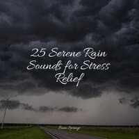 25 Serene Rain Sounds for Stress Relief