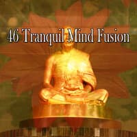 46 Tranquil Mind Fusion