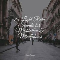 25 Light Rain Sounds for Meditation & Mindfulness