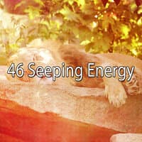 46 Seeping Energy