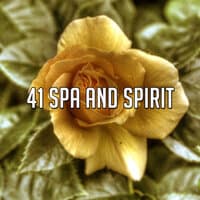 41 Spa and Spirit